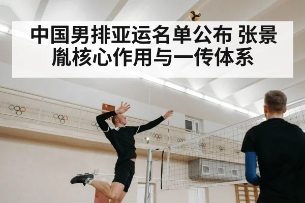 中国男排亚运名单公布 张景胤核心作用与一传体系